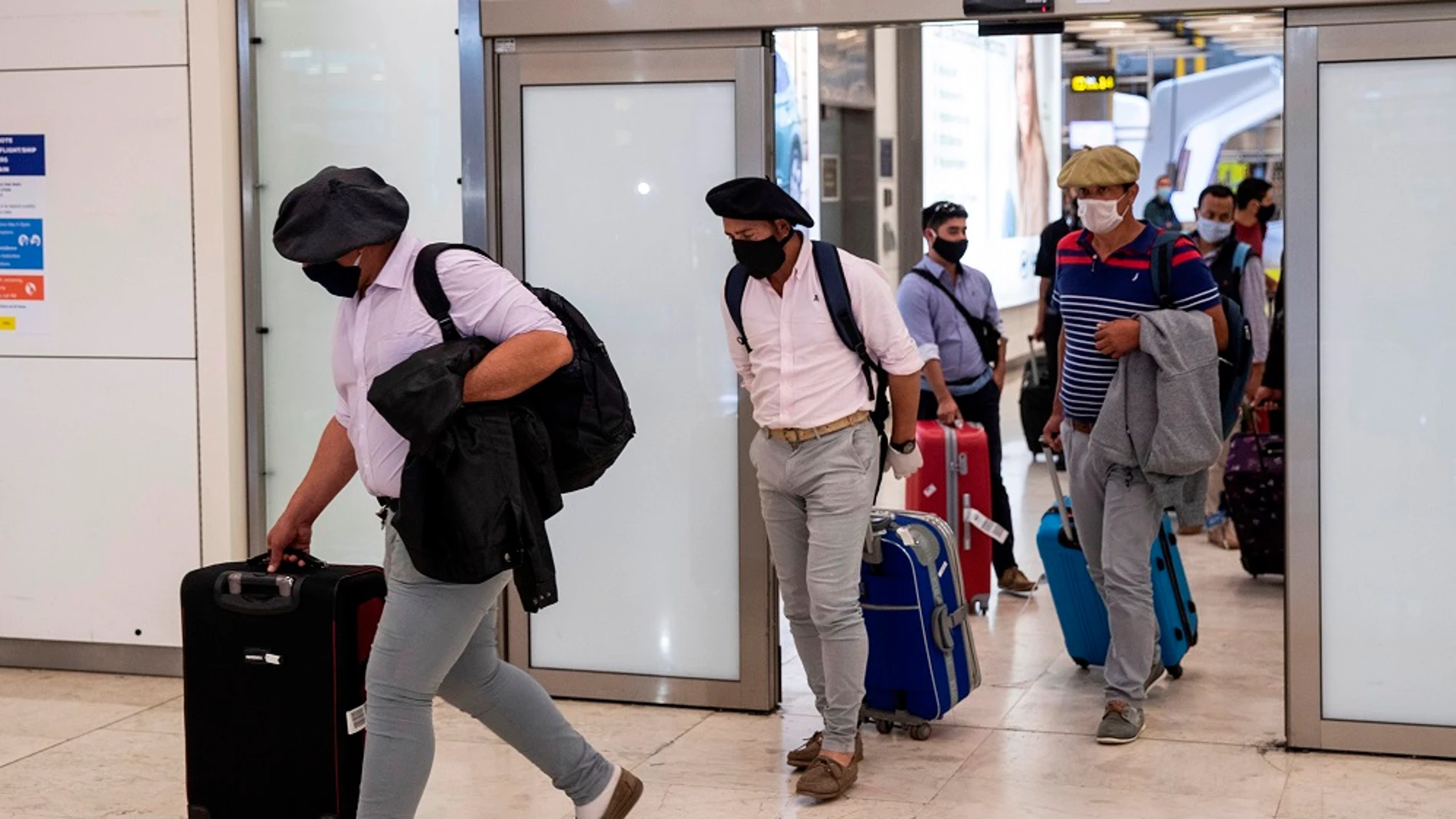 Llegada de un grupo de esquiladores uruguayos al aeropuerto de Madrid Barajas el pasado mes de mayo