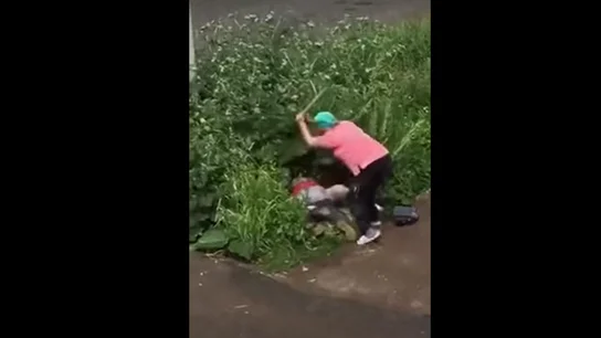 Una mujer golpea violentamente a una pareja que practica sexo en un arbusto Una mujer golpea violentamente a una pareja que practica sexo en un arbusto