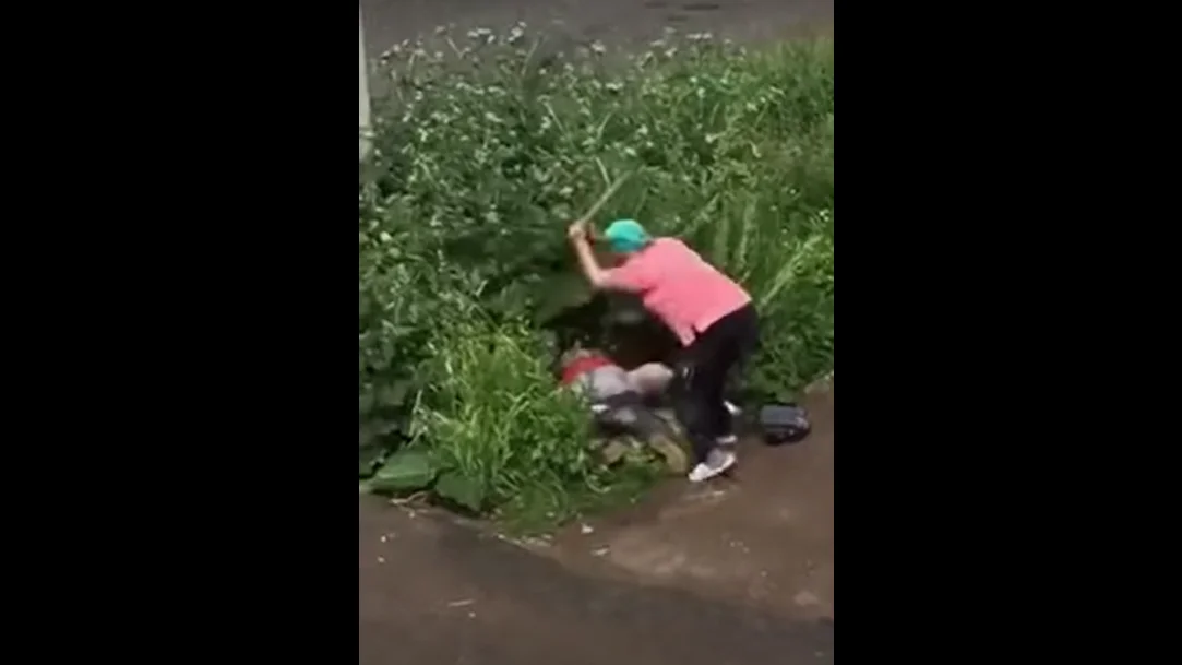 Una mujer golpea violentamente a una pareja que practica sexo en un arbusto Una mujer golpea violentamente a una pareja que practica sexo en un arbusto