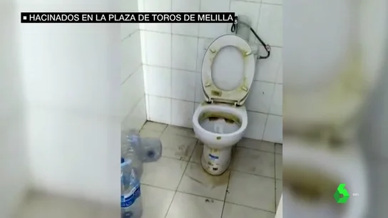 hacinados plaza toros hacinados plaza toros