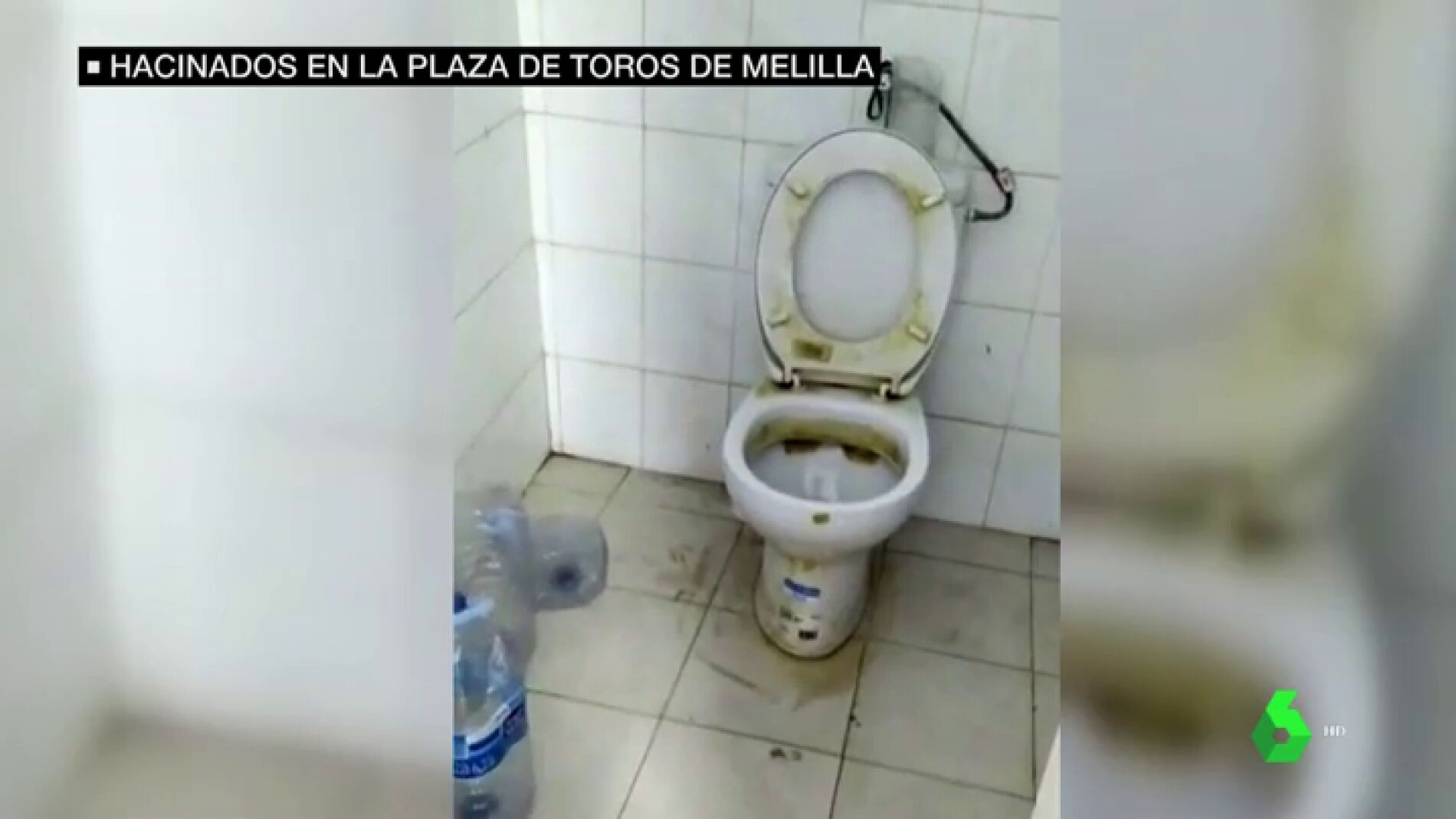 hacinados plaza toros