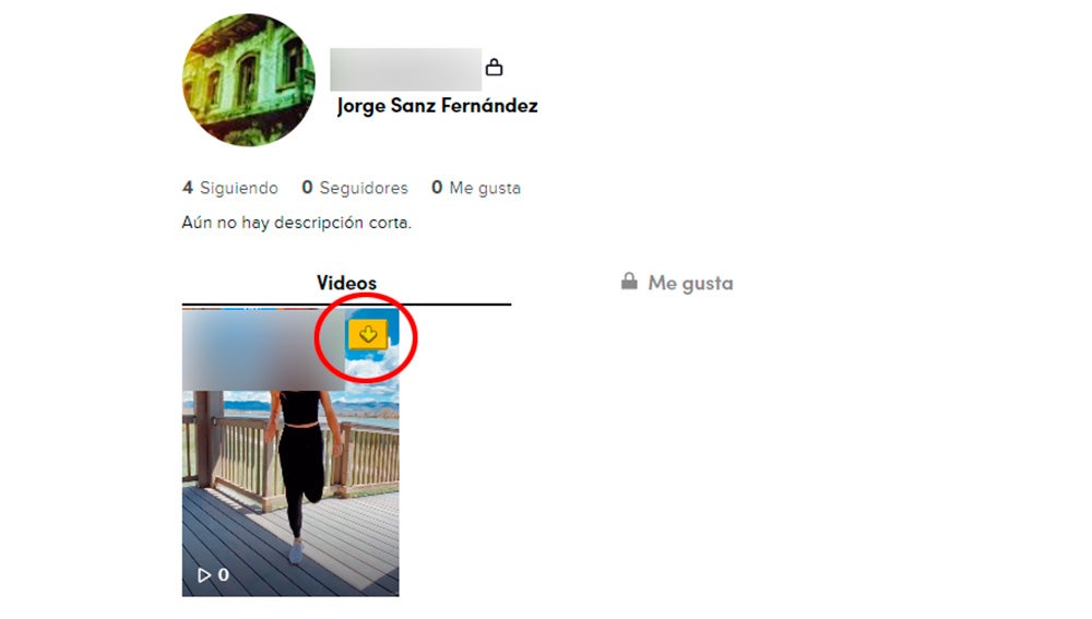 Descargando un vídeo de nuestro perfil