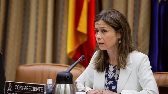 La directora de la Agencia Española de Medicamentos y Productos Sanitarios (AEMPS), María Jesús Lamas. La directora de la Agencia Española de Medicamentos y Productos Sanitarios (AEMPS), María Jesús Lamas.