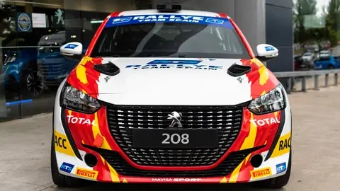Peugeot 208 Rally 4 Peugeot 208 Rally 4