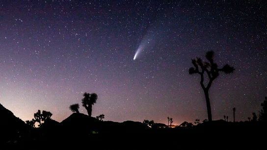 NEOWISE: las imágenes más espectaculares del cometa  NEOWISE fotos cometa