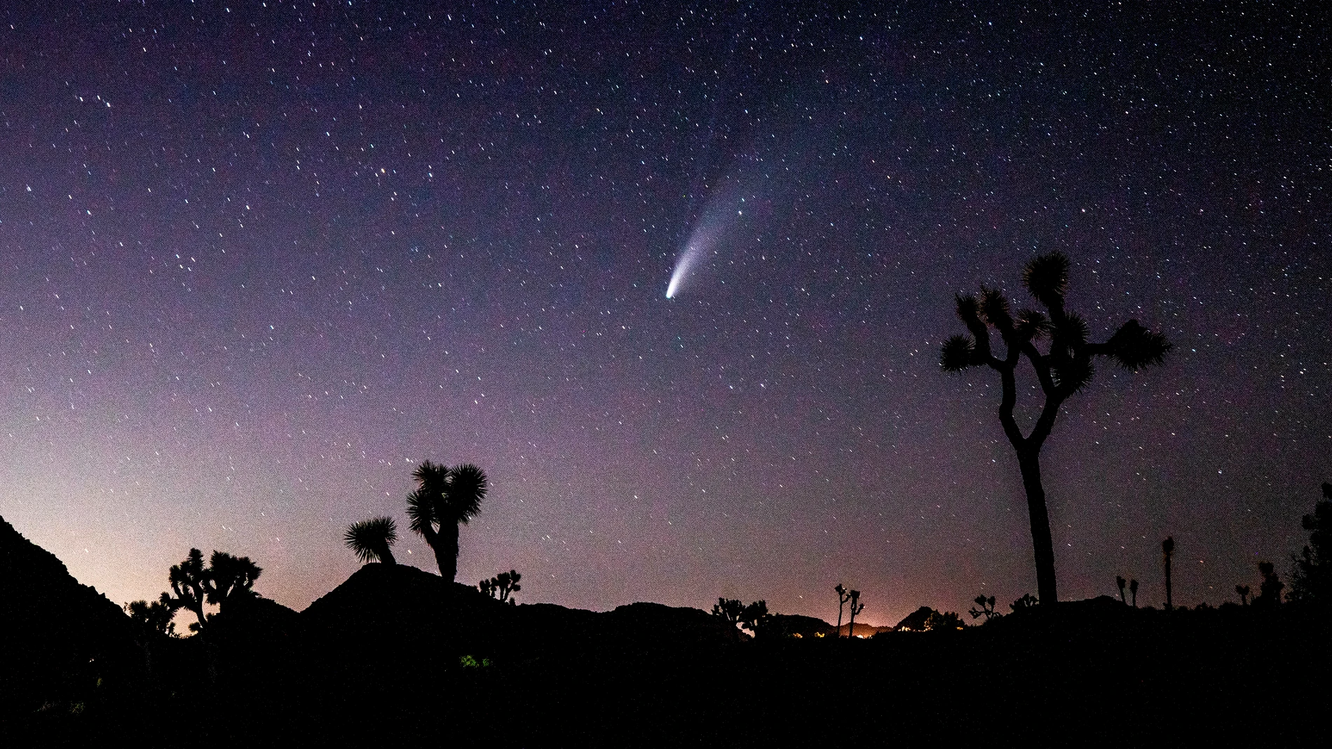 NEOWISE: las imágenes más espectaculares del cometa 