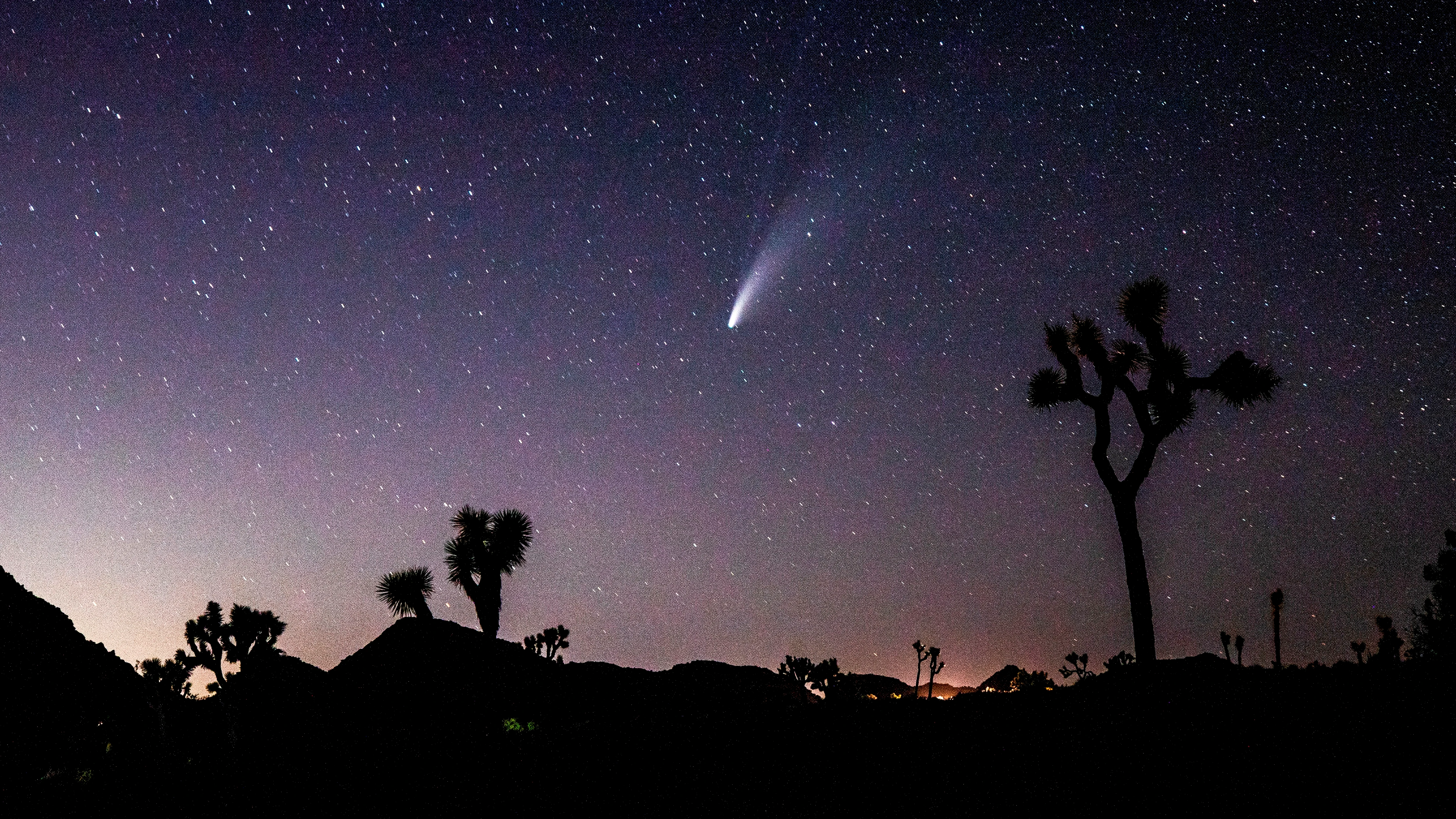 NEOWISE fotos cometa