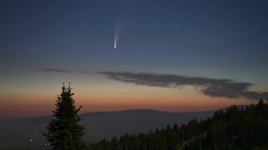 Cómo ver el cometa NEOWISE este fin de semana Cómo ver NEOWISE este fin de semana