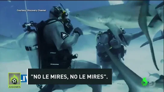 El susto de Mike Tyson con un tiburón El susto de Mike Tyson con un tiburón