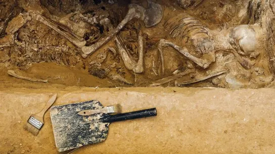 Imagen de archivo de la exhumación de una fosa común Imagen de archivo de la exhumación de una fosa común