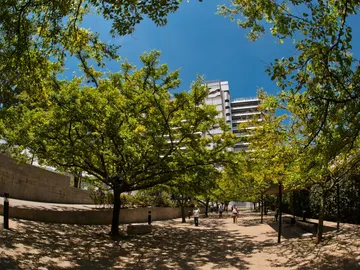 Paseo peatonal arbolado, Medellín Paseo peatonal arbolado, Medellín