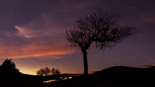 Foto: Fernando Sánchez @ferfoto.es Perseidas
