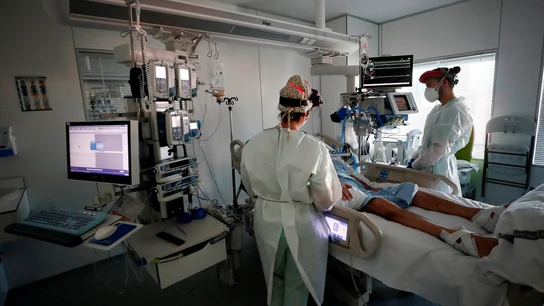 12 de los 19 casos de meningoencefalitis en Sevilla son positivos en virus del Nilo Confirmado por Salud