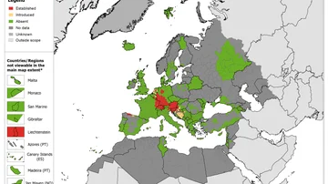 Mapa de la expansión del mosquito japonés en Europa