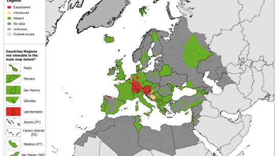Mapa de la expansión del mosquito japonés en Europa