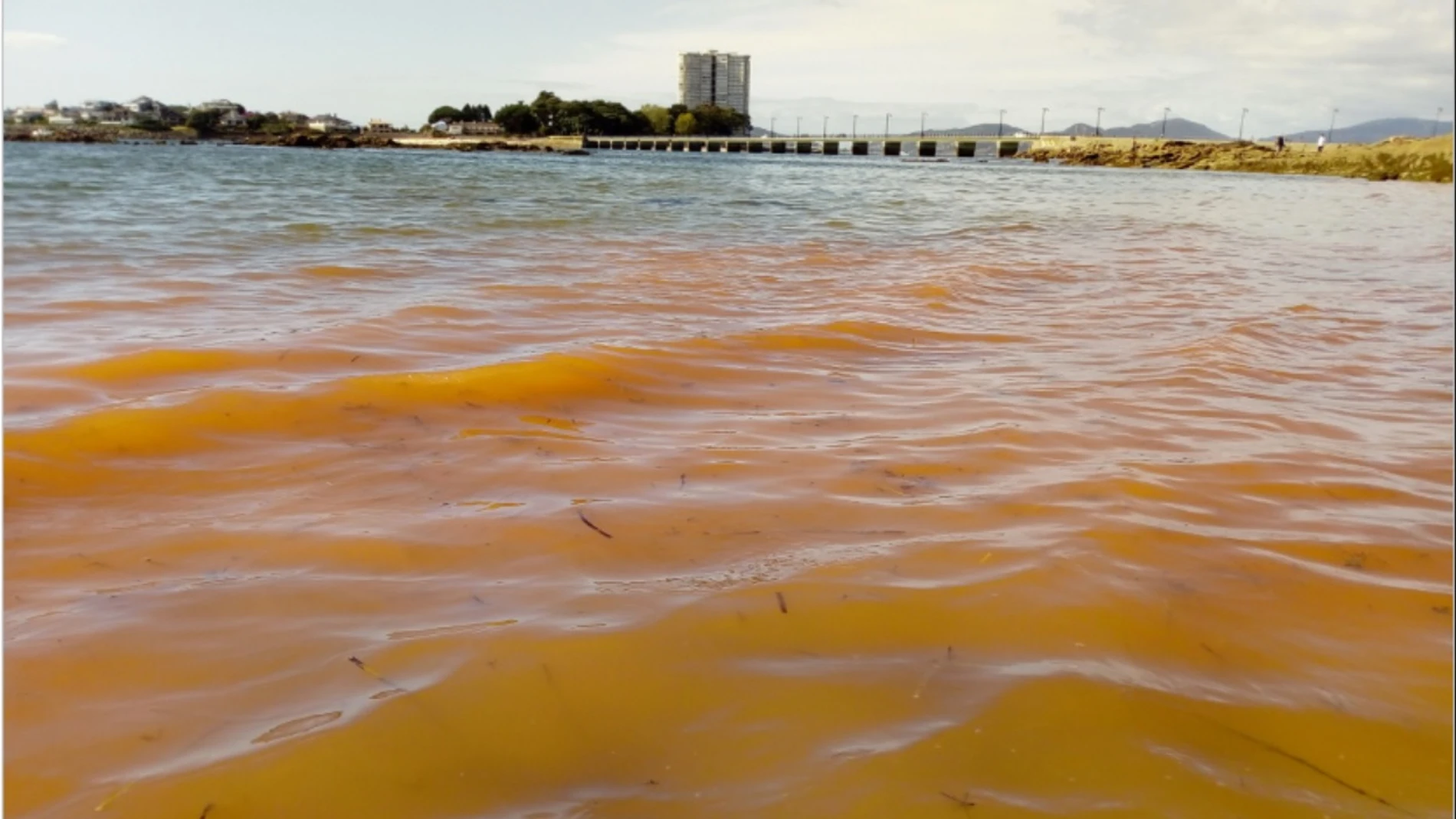Una marea roja no tóxica tiñe parte del litoral de la ría de Vigo