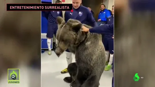 oso jugones oso jugones