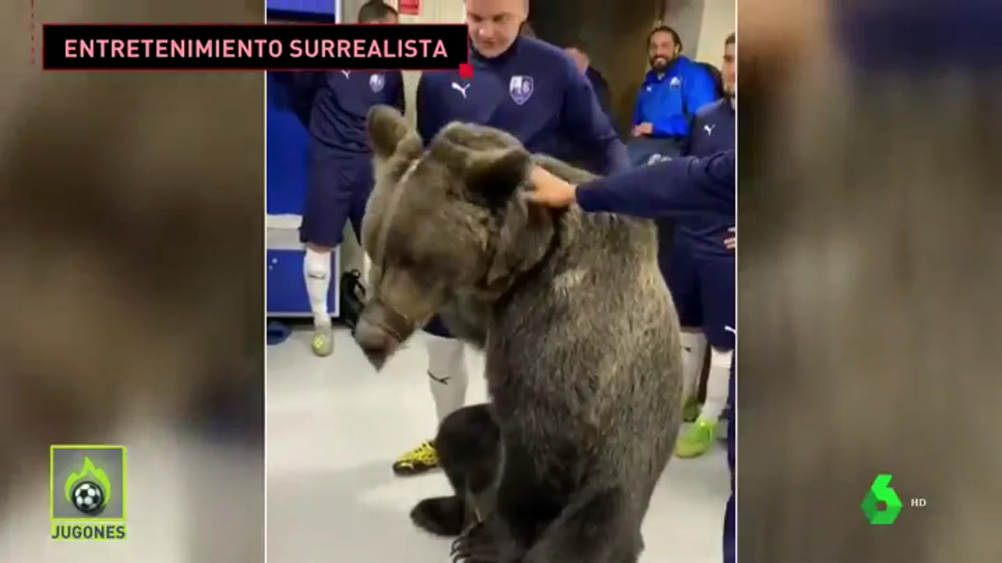 oso jugones oso jugones