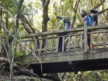 Sendero de los Sentidos, tramo 2 Sendero de los Sentidos, tramo 2