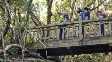 Sendero de los Sentidos, tramo 2