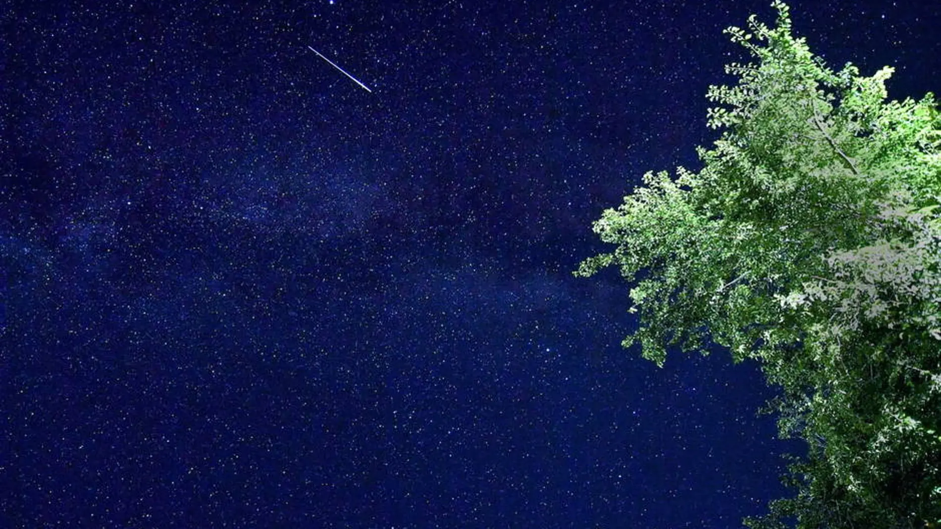 Perseidas: cómo saber la mejor hora para ver la lluvia de estrellas en tu provincia