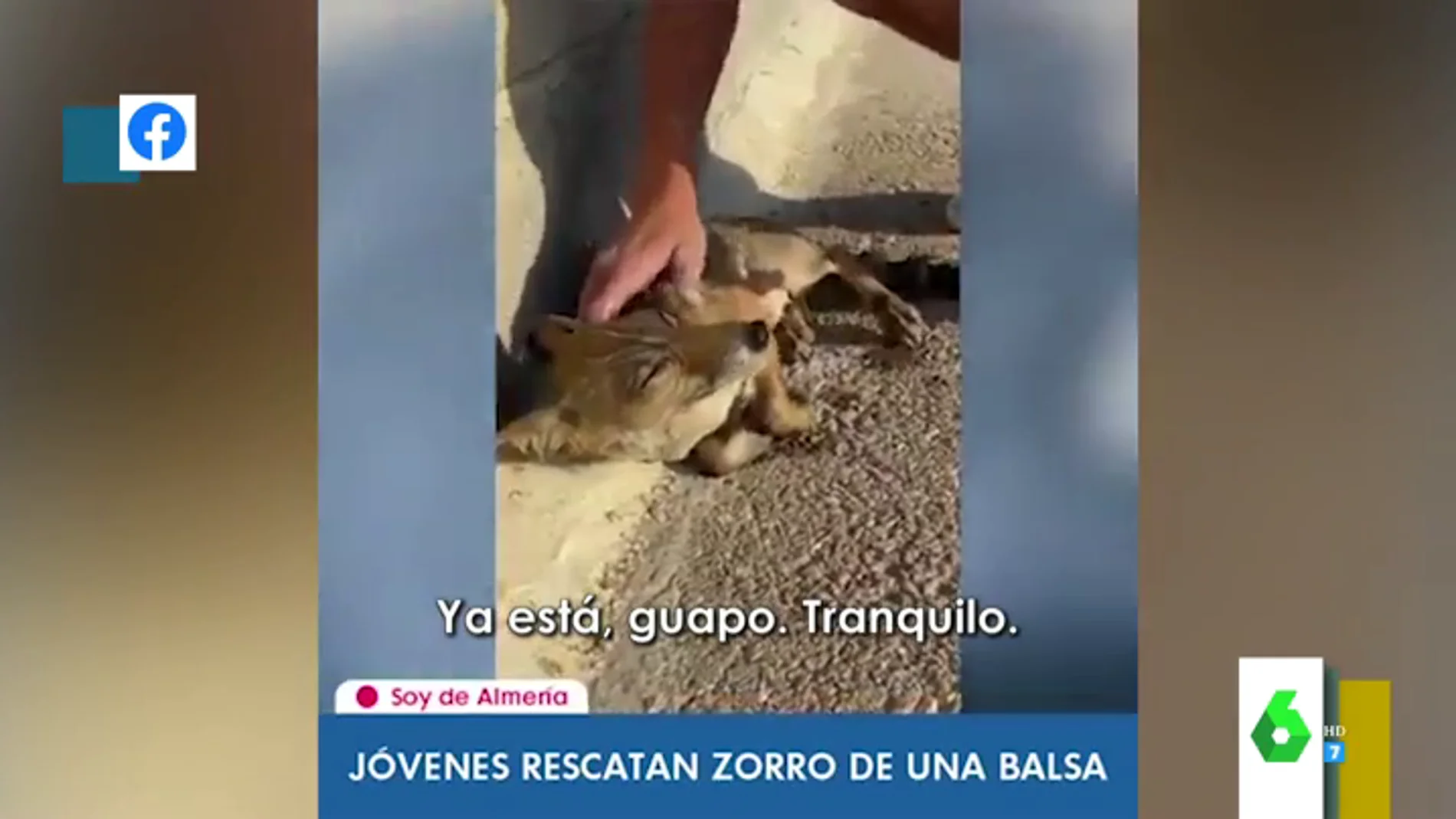 El momento en el que un joven rescata a un zorro de morir ahogado en Almería