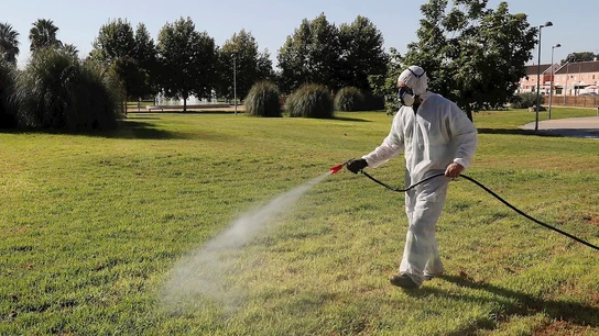 Un operario fumiga unos jardines en Coría del Río Un operario fumiga unos jardines en Coría del Río