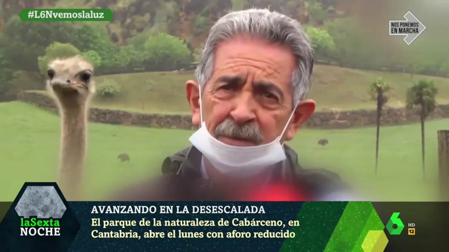 El día que una avestruz 'troleó' a Revilla El día que una avestruz 'troleó' a Revilla