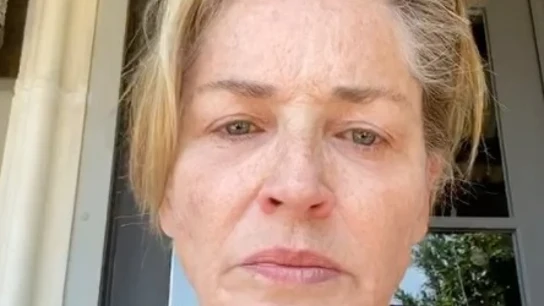 La actriz Sharon Stone critica la gestión de Trump en redes sociales La actriz Sharon Stone critica la gestión de Trump en redes sociales