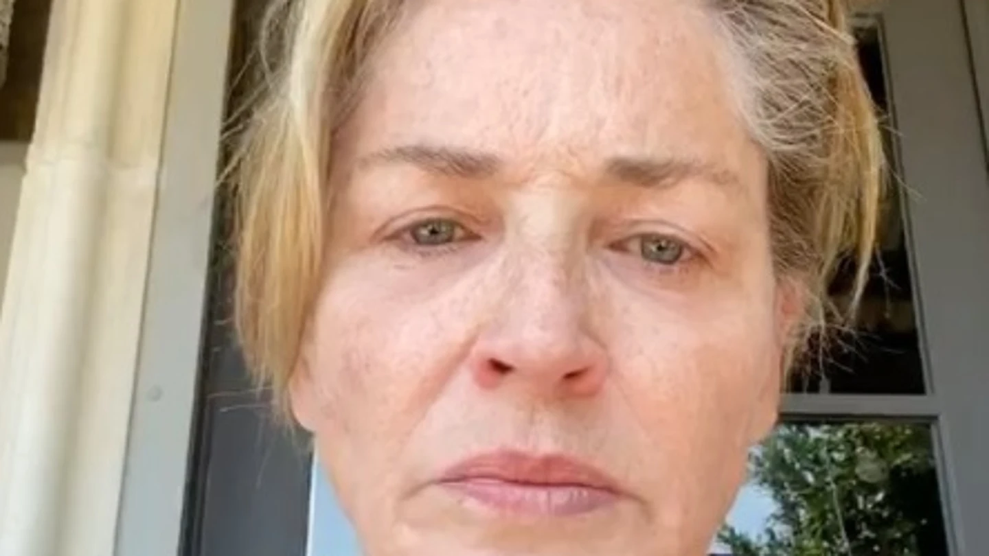 La actriz Sharon Stone critica la gestión de Trump en redes sociales La actriz Sharon Stone critica la gestión de Trump en redes sociales
