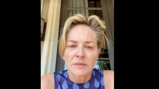 Sharon Stone habla sobre su situación familiar por la pandemia Sharon Stone