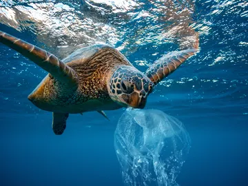 El oceano Atlantico tiene mas microplasticos que los que se creia El oceano Atlantico tiene mas microplasticos que los que se creia