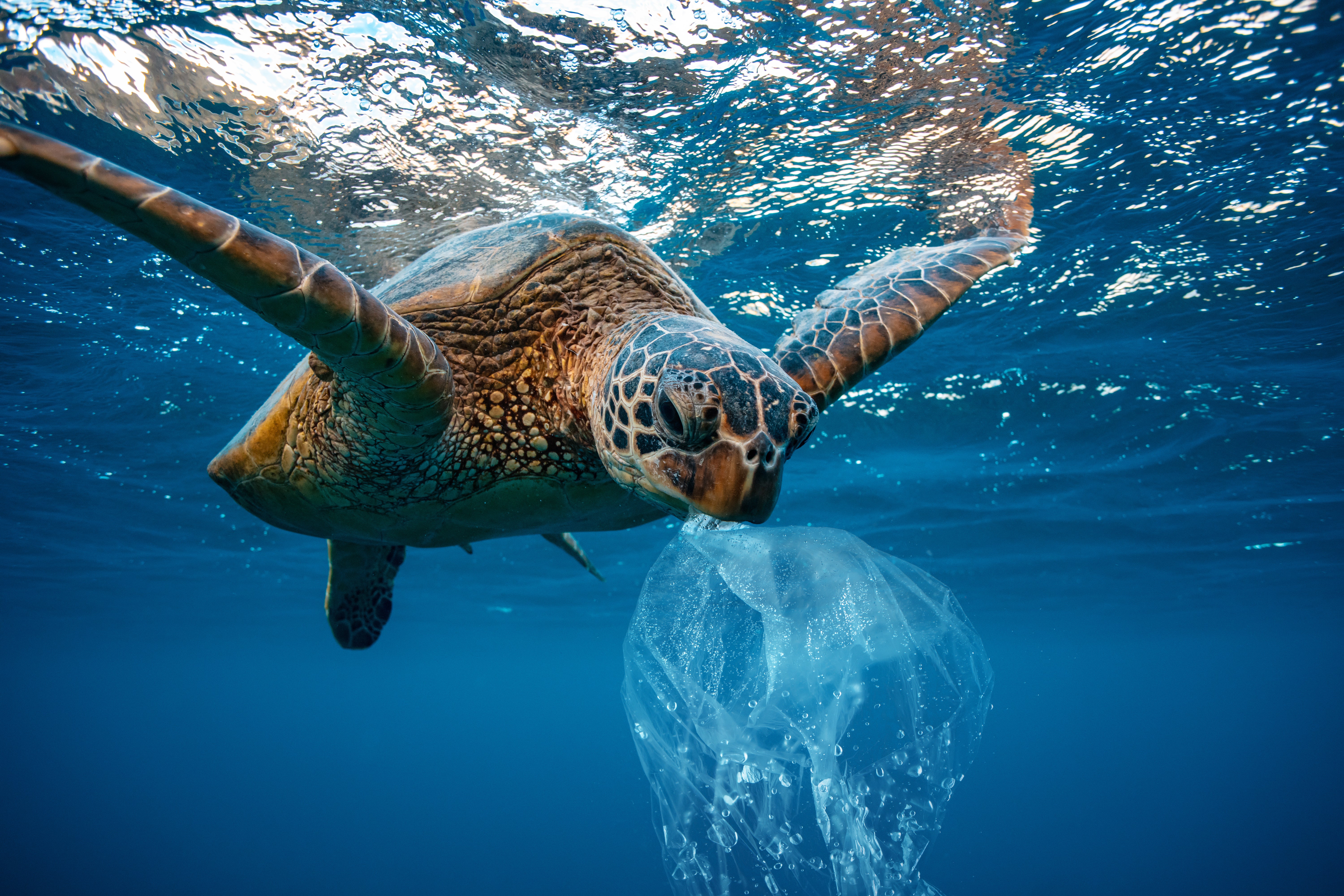 El oceano Atlantico tiene mas microplasticos que los que se creia