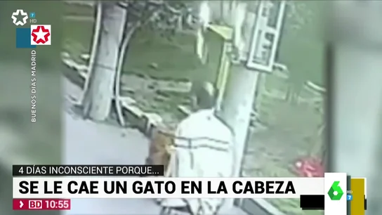 El vídeo más loco de Internet: un gato deja inconsciente a un hombre tras impactar contra él y su perro con calcetines le 'riñe' El vídeo más loco de Internet: un gato deja inconsciente a un hombre tras impactar contra él y su perro con calcetines le 'riñe'
