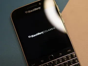 Blackberry Blackberry