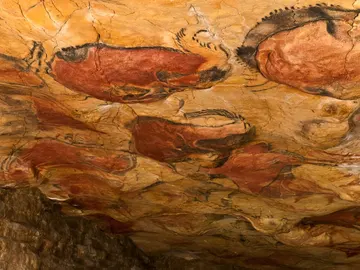 Techo Cueva de Altamira Techo Cueva de Altamira