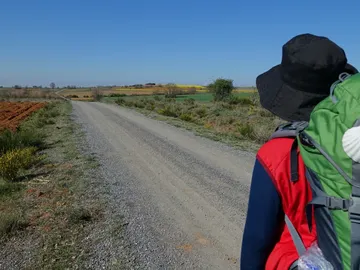 Peregrino camino de Santiago Peregrino camino de Santiago