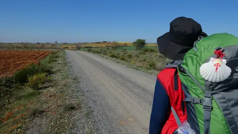 Peregrino camino de Santiago Peregrino camino de Santiago