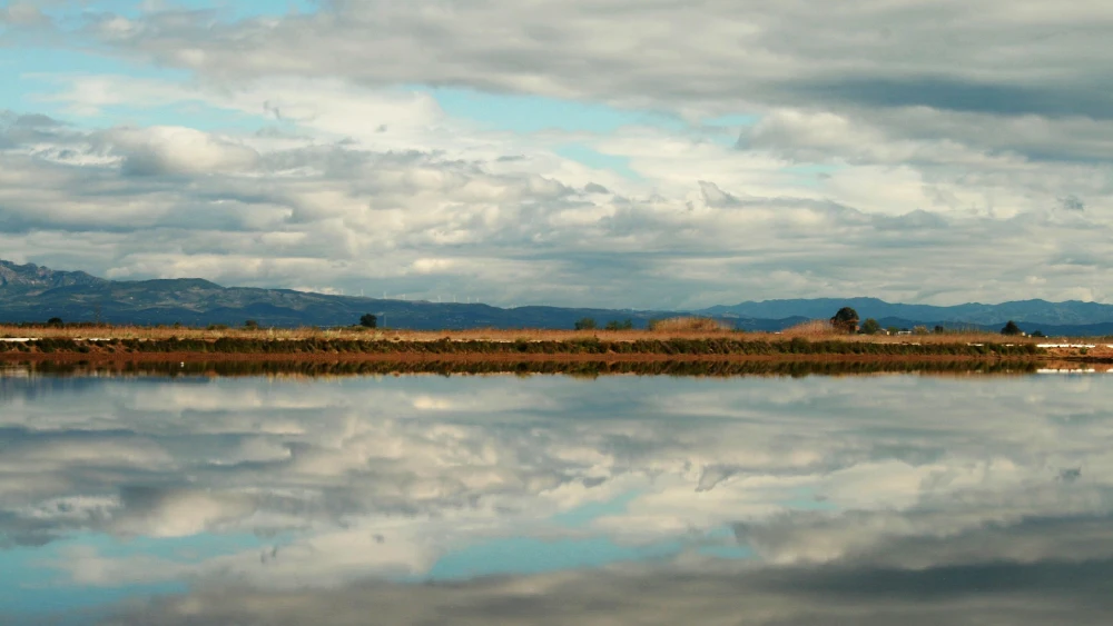 Paisaje en el Delta del Ebro