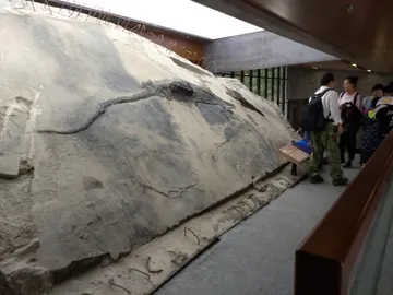 El festin de un reptil del Triasico cambia lo que sabemos de los depredadores prehistoricos El festin de un reptil del Triasico cambia lo que sabemos de los depredadores prehistoricos