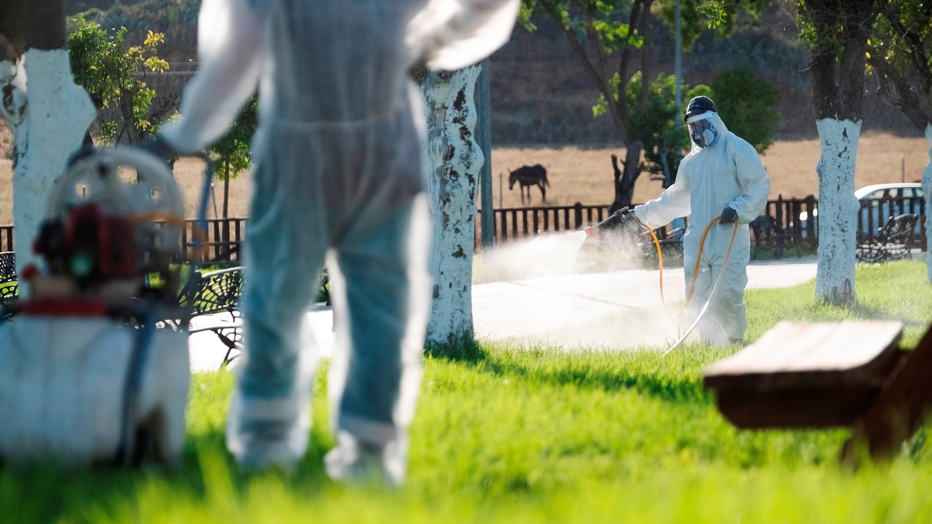 Varios operarios fumigan unos jardines para intentar detener al virus del Nilo
