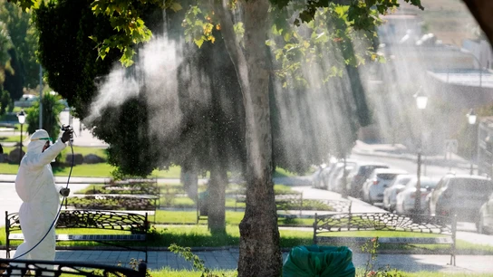 Un operario fumiga La Puebla del Río en un intento por detener al virus del Nilo, Sevilla virus del Nilo