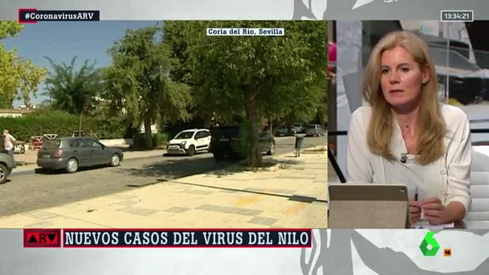 mosquitos mosquitos