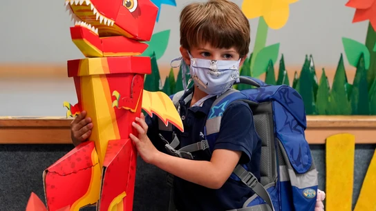 Educación Infantil y Primaria en Madrid: presencial, con "coordinador COVID" y 20 alumnos por aula Así será la vuelta a los colegios en Madrid con el coronavirus presentes