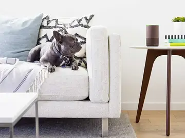 Cambia a Alexa, el asistente de Googles Cambia a Alexa, el asistente de Googles