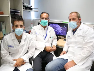investigadores investigadores