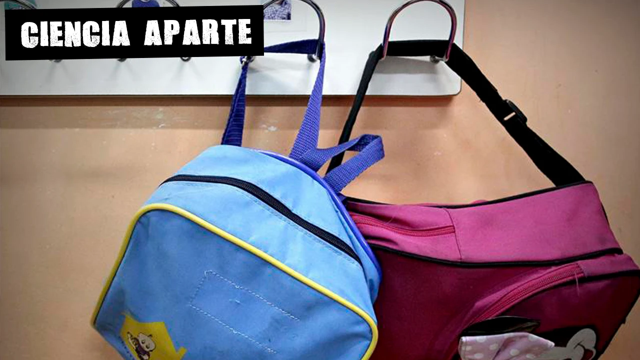 Mochilas escolares