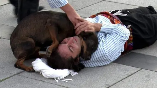 Un perro socorre por error a un actor ‘herido’ y se hace viral en redes sociales Un perro socorre por error a un actor ‘herido’ y se hace viral en redes sociales