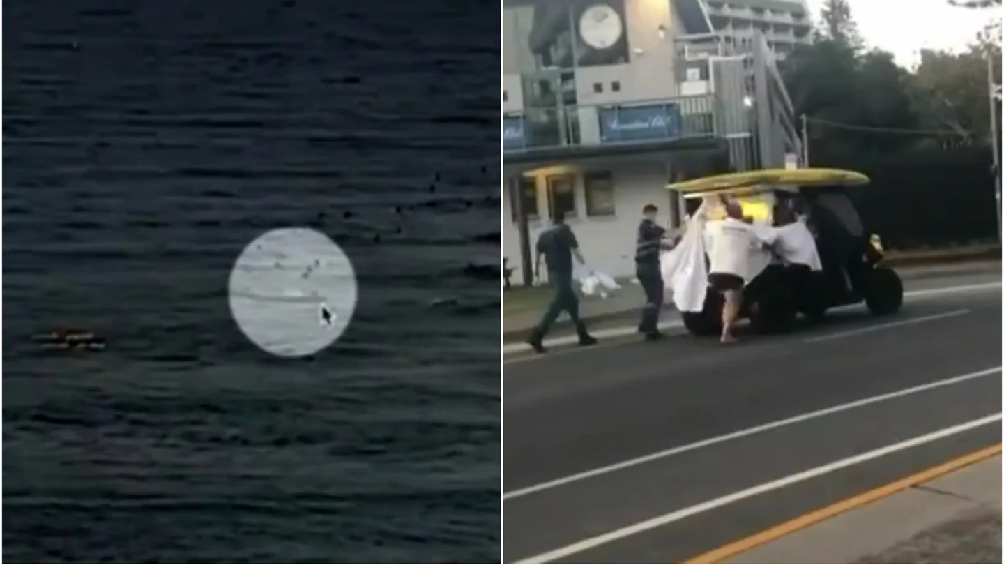 Ataque de un tiburón blanco en Australia Ataque de un tiburón blanco en Australia