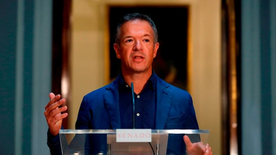 El portavoz del PSOE en el Senado, Ander Gil El portavoz del PSOE en el Senado, Ander Gil